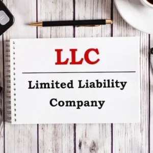 LLC Formation Scrivener Service